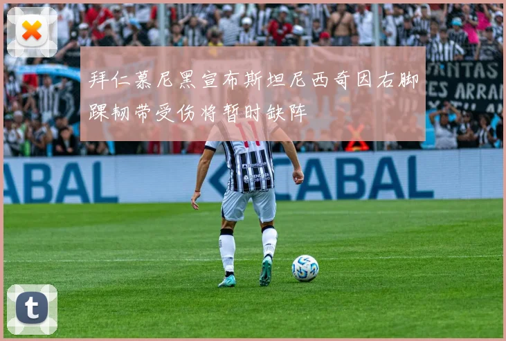 拜仁慕尼黑宣布斯坦尼西奇因右脚踝韧带受伤将暂时缺阵
