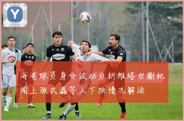 海港球员身价波动分析维塔尔蒯纪闻上涨武磊等人下跌情况解读