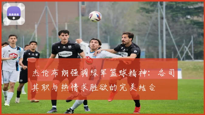 杰伦布朗强调绿军篮球精神：各司其职与热情求胜欲的完美结合